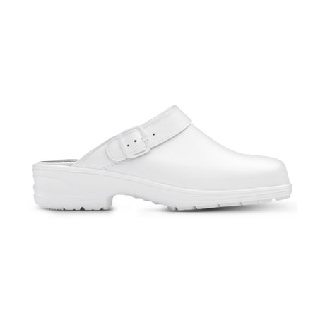 Monitor Birka Backstrap Work Clog
