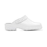 Monitor Birka Backstrap Work Clog