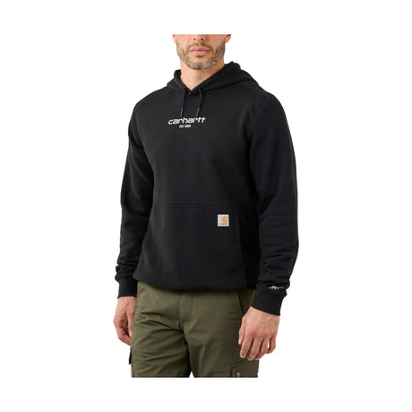 Carhartt LIGHTWEIGHT LOGO GRAPHIC SWEATSHIRT