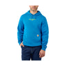 Carhartt LIGHTWEIGHT LOGO GRAPHIC SWEATSHIRT