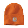 Carhartt WATCH HAT
