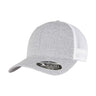 Flexfit 110 Mesh 2-Tone Cap