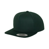 Flexfit Classic Snapback