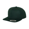 Flexfit Classic Snapback