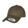 Flexfit Low Profile Organic Cotton Cap