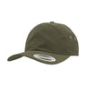 Flexfit Low Profile Water Repellent Cap