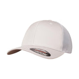 Flexfit Flexfit Mesh Trucker